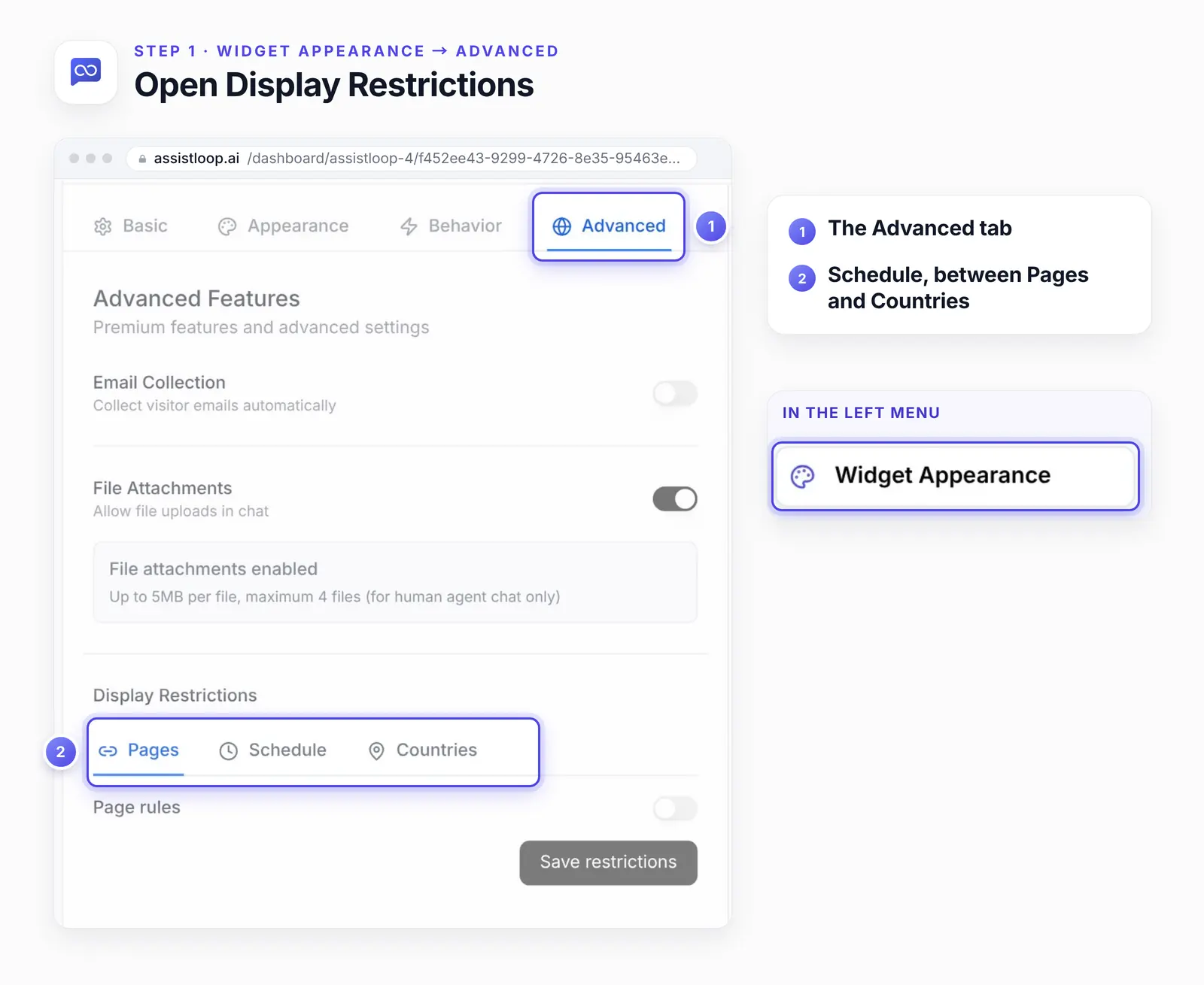 The Advanced tab of Widget Appearance with two numbered highlights: 1, the Advanced tab; 2, the Pages, Schedule and Countries tabs under Display Restrictions. A side card shows Widget Appearance in the left menu.