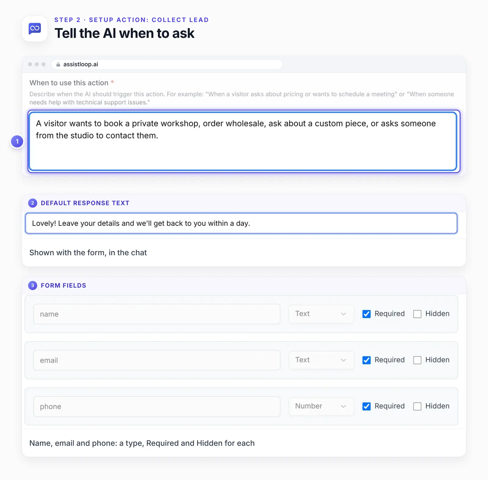 The Collect Lead setup with three numbered highlights: 1, the When to use this action box with our rule; 2, an enlarged Default Response Text; 3, the three form fields, name, email and phone, each with its type and the Required and Hidden boxes.