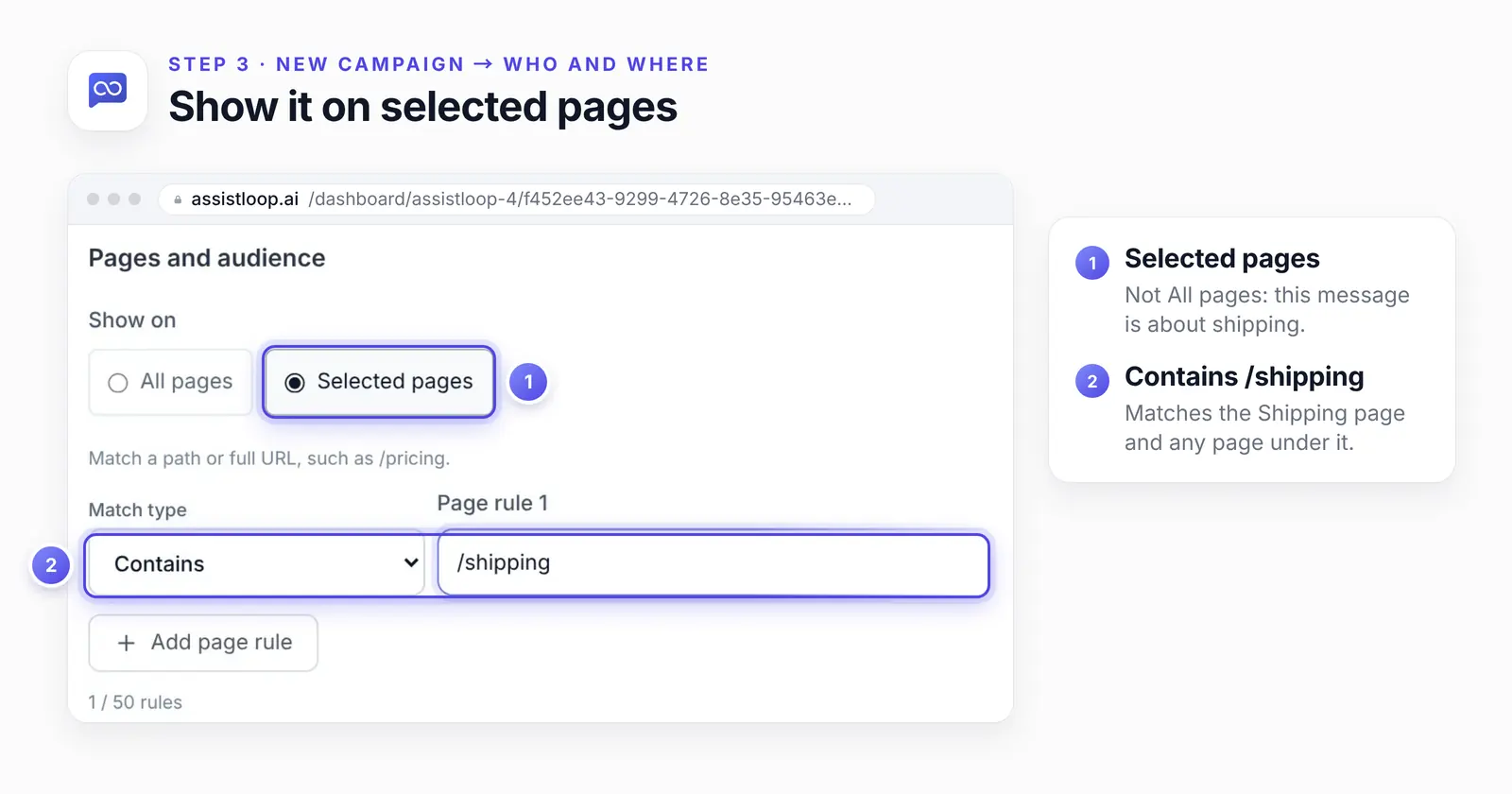 The Pages and audience section: Selected pages ringed, and the rule Contains /shipping ringed.